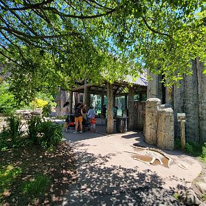 Franklin Park 7/22 - Kalahari Kingdom, lion viewing window