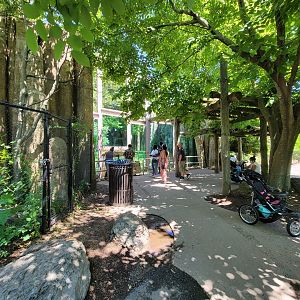 Franklin Park 7/22 - Kalahari Kingdom, tiger viewing