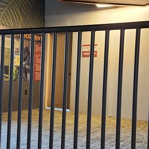 Gorilla Valley - Construction Area