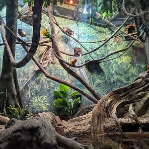 Amazon Edge at the Greensboro Science Center