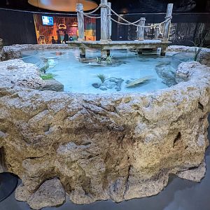 Hands on Harbor at the Greensboro Science Center