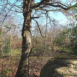 Snow leopard exhibit, seen from the side, 2022-03-08