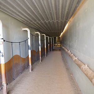 Access tunnel to the tree-top, 2022-03-08