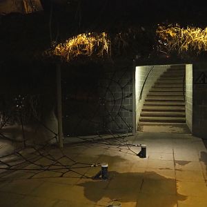 Tree-top walk - Underground room with roots, play structures and access to stairs leading to canopy, 2022-03-08