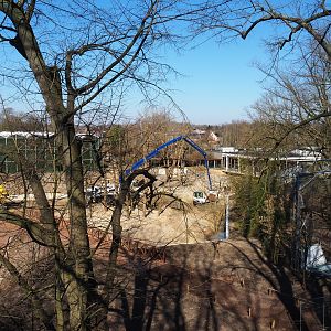 View from tree-top walk to restaurant "Tree Shrew" and construction site of since-finished orangutan project, 2022-03-08