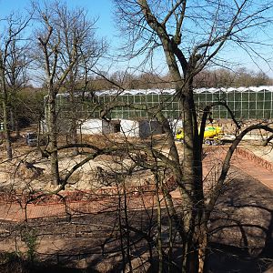 Construction site of since-finished orangutan project seen from the tree-top walk, 2022-03-08