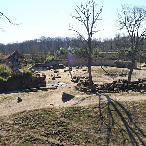 Asian elephant exhibit seen from the tree-top walk, 2022-03-08