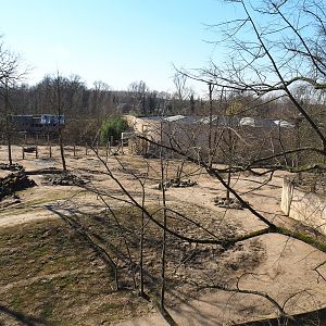 Asian elephant exhibit seen from the tree-top walk, 2022-03-08