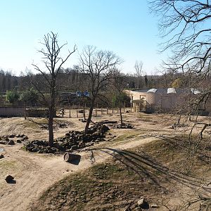 Asian elephant exhibit seen from the tree-top walk, 2022-03-08