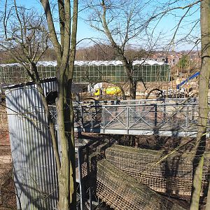 Tree-top walk structures - Tower with access staircase, main canopy walkway and adventure trails, 2022-03-08