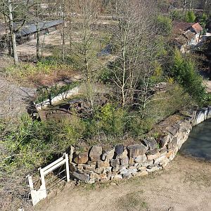Red panda exhibit, fencing of Asian elephant exhibit, part of Bactrian camel paddock and Indian village seen from the tree-top walk, 2022-03-08