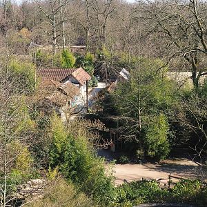 Indian village seen from the tree-top walk, 2022-03-08