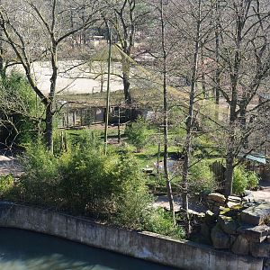 Green peafowl, Oriental white stork, Blue eared pheasant and Nicobar pigeon aviary seen from the tree-top walk, 2022-03-08