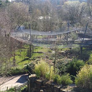 Snow leopard exhibit, seen from the tree-top walk, 2022-03-08