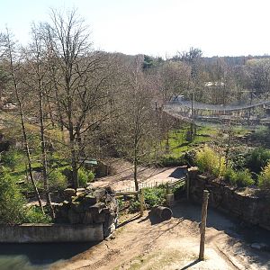 Aviary, snow leopard exhibit and Asian elephant feeding and enrichment area, seen from the tree-top walk, 2022-03-08