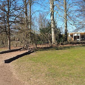 Tree grove and living willow tunnel near entrance, 2022-03-08