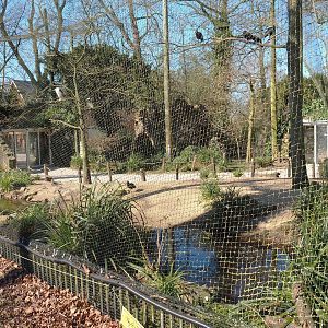 European aviary, 2022-03-08