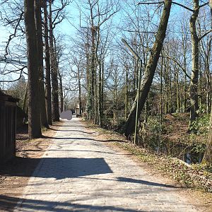 Access road to main animal services area between European and African sections, 2022-03-08