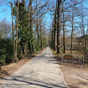 Access road to main animal services area between European and African sections, 2022-03-08