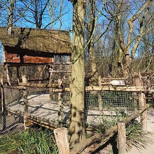Bush dog viewing area, 2022-03-08