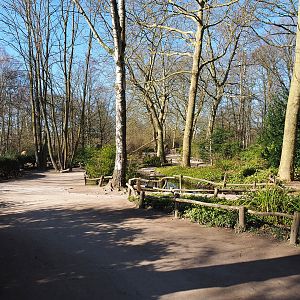 Walkway in American section, 2022-03-08