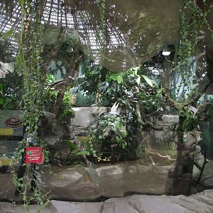 Reticulated Python enclosure - Zooparc de Beauval - 05/2021