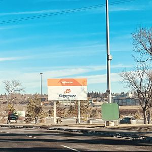 No frills…just telling it like it is.