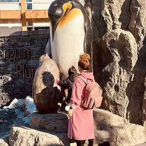 Guests enjoying the penguin statue.