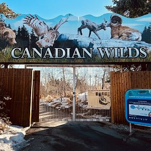 Sadly all of the hoofstock (except the Moose) was off view.