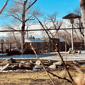 Mountain Zebra Exhibit.