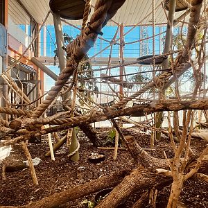 Lemur Winter Quarters.