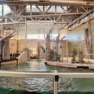 Giraffes and Hippopotamuses - Indoor Exhibit