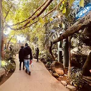 Path through the African Rainforest Exhibits
