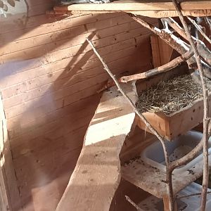 Chinchilla Enclosure