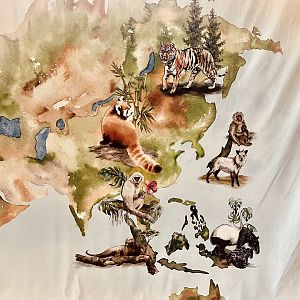 Zoo Art - “Silk” Painting - I Love These