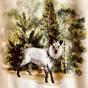 Zoo Art - “Silk” Painting - I Love These