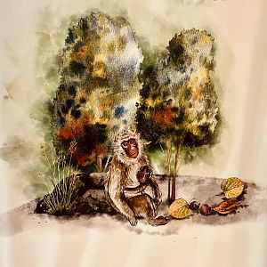 Zoo Art - “Silk” Painting - I Love These