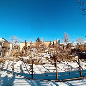 Malayan Tapir Outdoor Exhibit