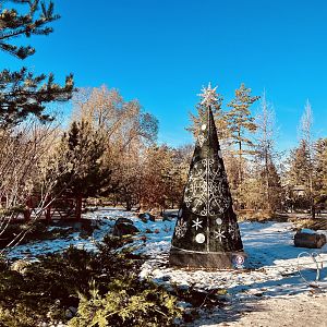 Christmas Decorations. I’ve had to remind myself repeatedly that it is the Holiday Season.  Every Zoo since Miami has been prepping.