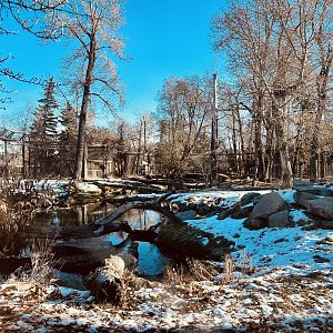 Amur Tiger Exhibit - Firmly in my top three
