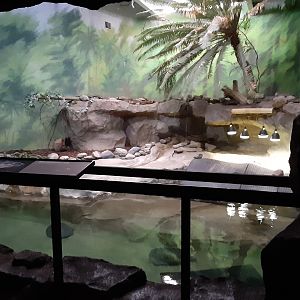 Huge Habitat for Some Huge Turtles