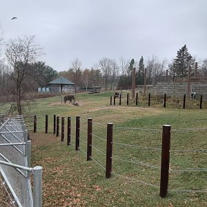 Asian Elephant Habitat- from red wolf viewing area