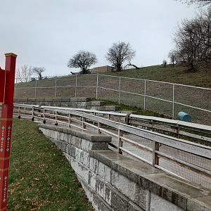 White-Lipped Deer Exhibit- from Red Wolf Viewing Area