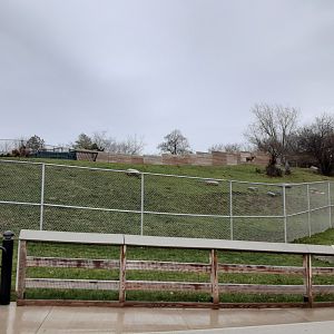 White-Lipped Deer Exhibit- from Elephant Viewing Area