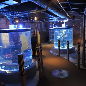 Cylindrical saltwater tanks