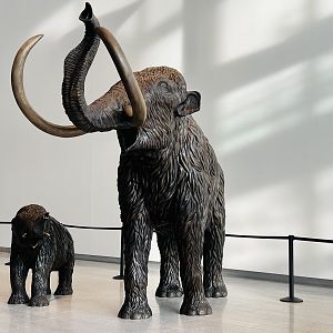 Kind of remind me of giant Schleich figures