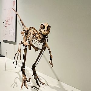 Hmmmmm…kind of…I think the effect is known as the “uncanny valley.”