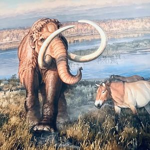 Mammoth and Horse