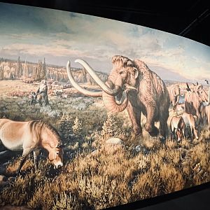 Mammoths and Horses