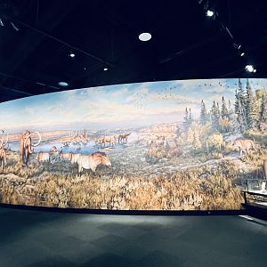 Beautiful Illustration. Did they have a print for purchase in the Museum Store?  No.